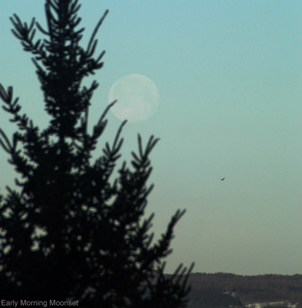  Moon Lunar Images 
