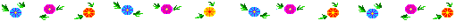 [barra07.gif]