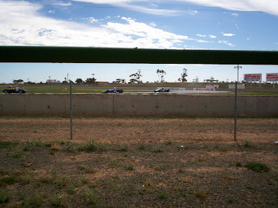 Ignore the chicken wire - was hiding under the bleachers because of the ferocious sun