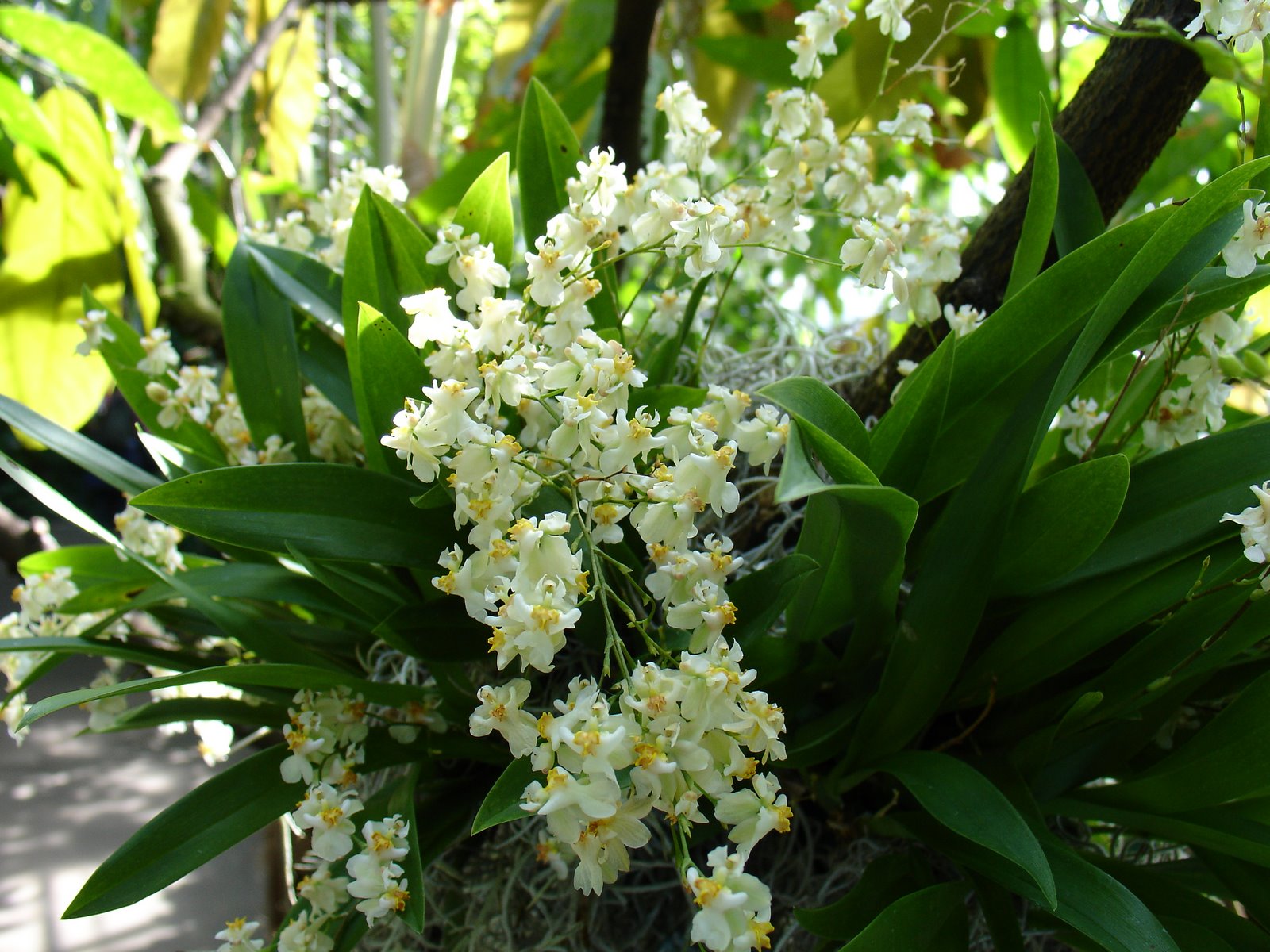 [BBA+Cibatta+006.jpg]