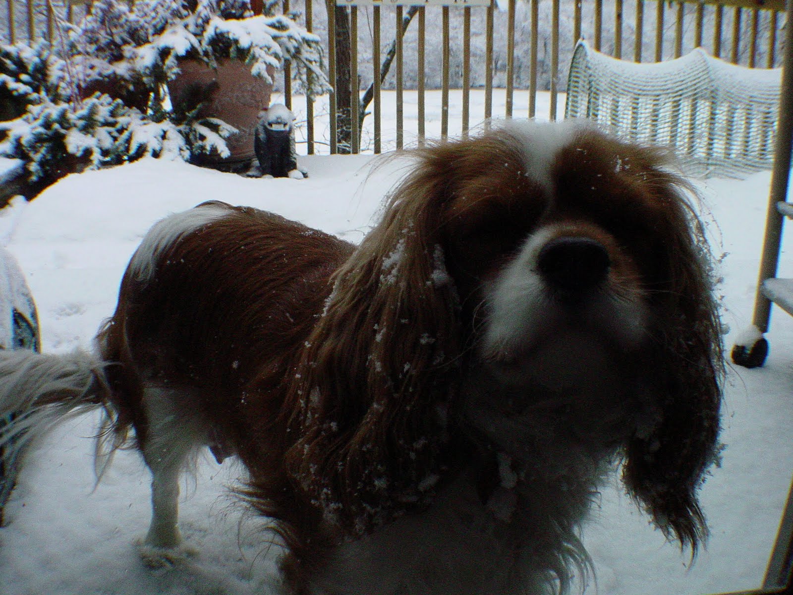 [01-18-2005+++1.JPG]