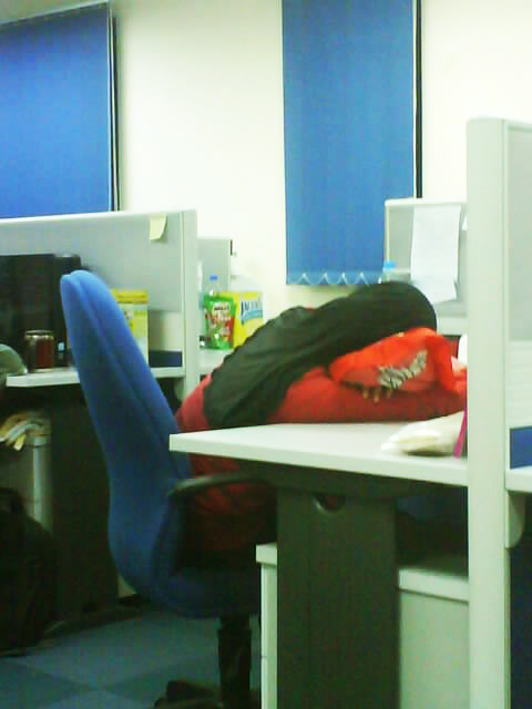 [DSC00683.JPG]