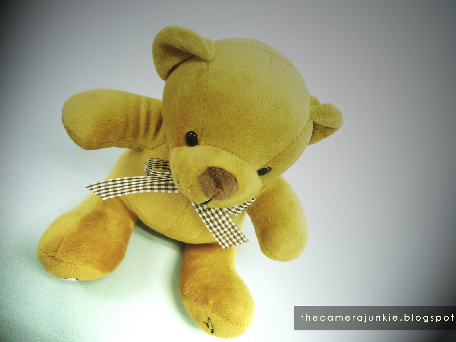 [bear7.jpg]