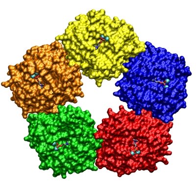 C-Reactive Protein