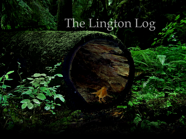 The Lington Log