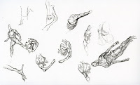 Matt's Art Blog: Anatomy Studies