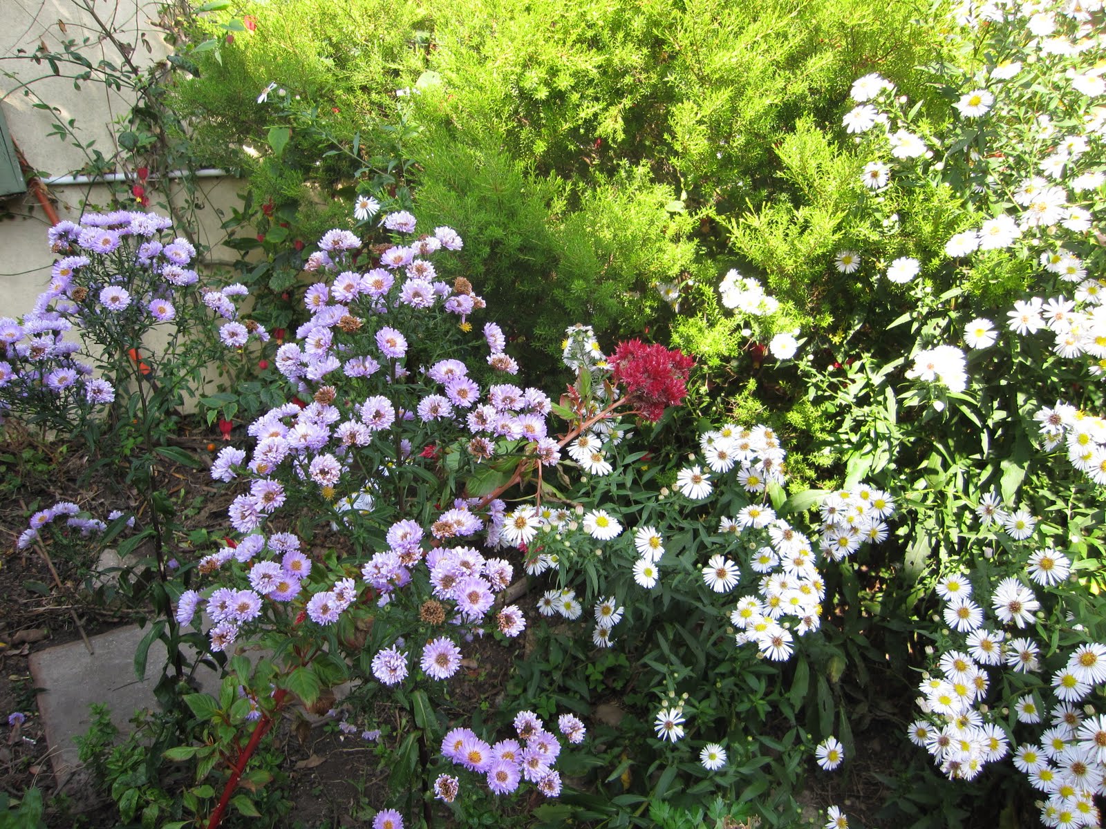 [IMG_0614.JPG]