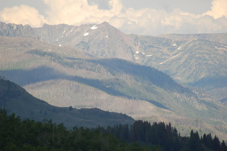 Mount Zirkel Wilderness Colorado