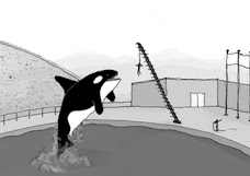 Condenado a la orca
