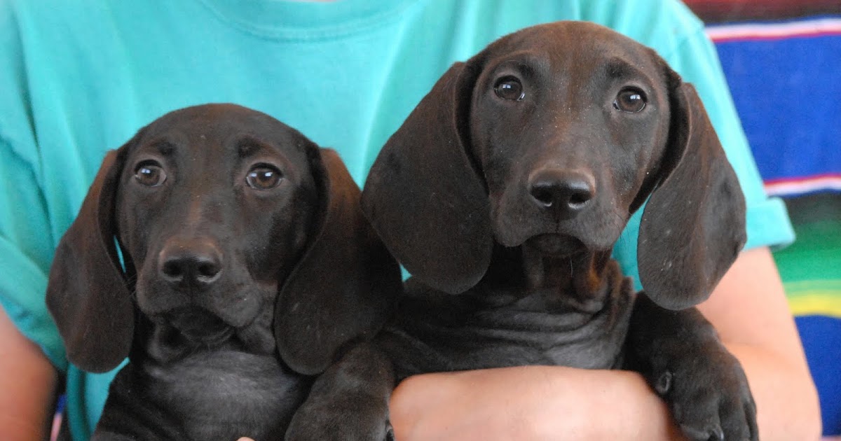 We love to smother you in kisses.