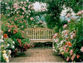 [rose-garden-1.jpg]