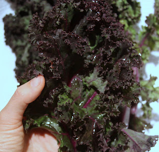 kale chips