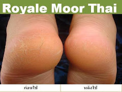 ผู้ใช้ Royale Moor Thai 12