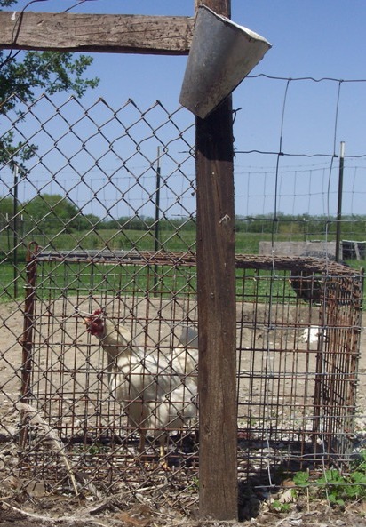 [DeathRow.JPG]