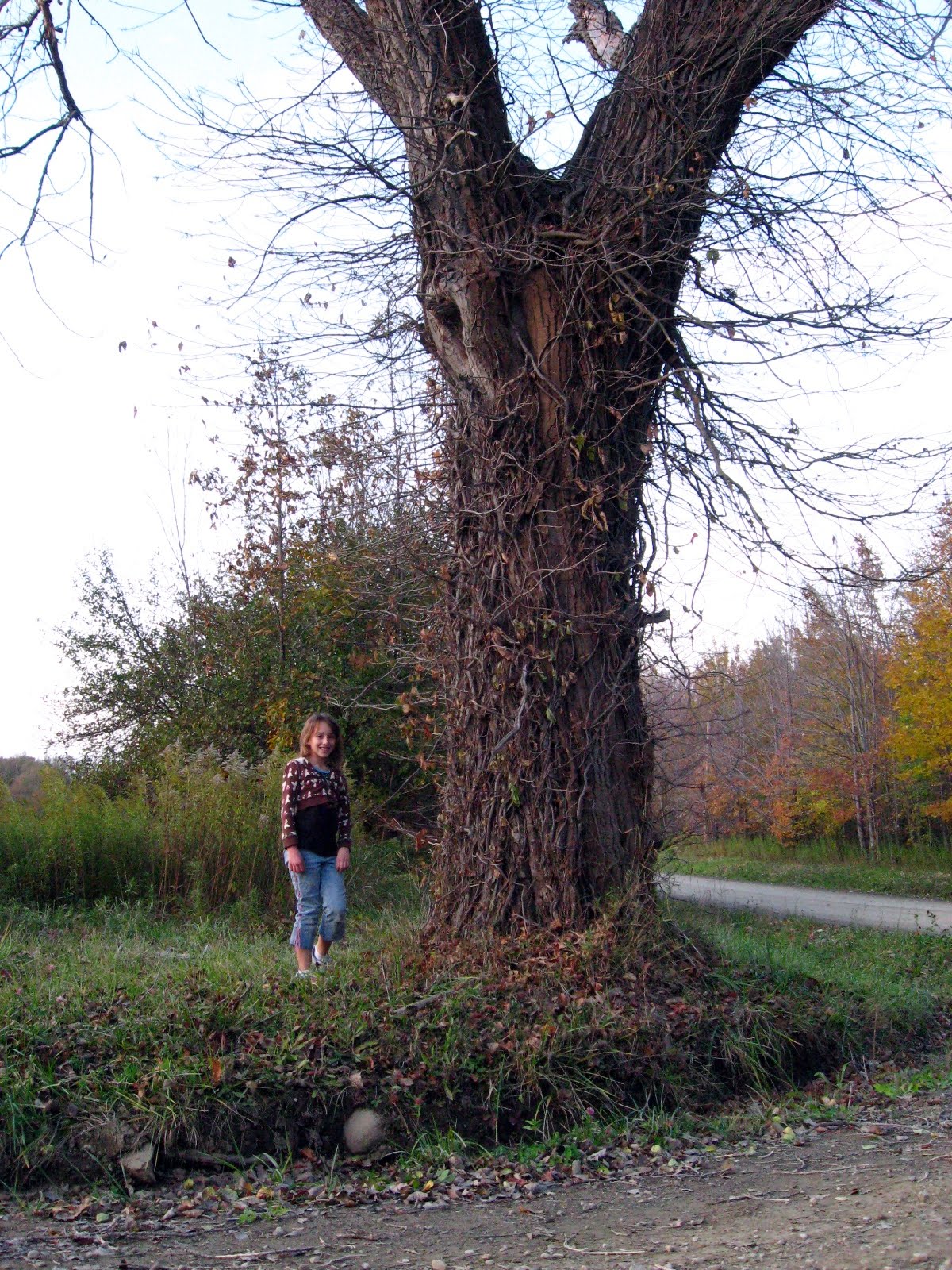 [20091020_999_24.JPG]