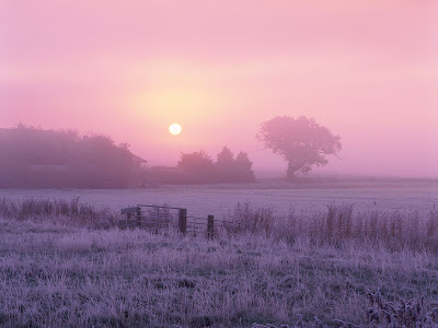 இங்லாந்து படங்கள்.. Sunrise+Over+Frosty+Farmland,+Norfolk,+England