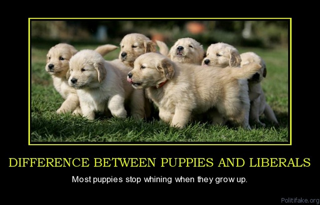 difference-between-puppies-and-liberals-puppies-stop-whining-political-poster-1294064730.jpg