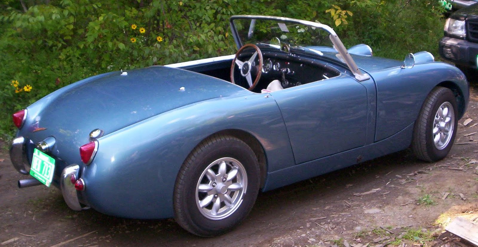 [101_0094+cropped.JPG]