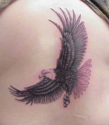 The Eagle Wing Tattoos eagles tattoos. The Eagle Wing Tattoos