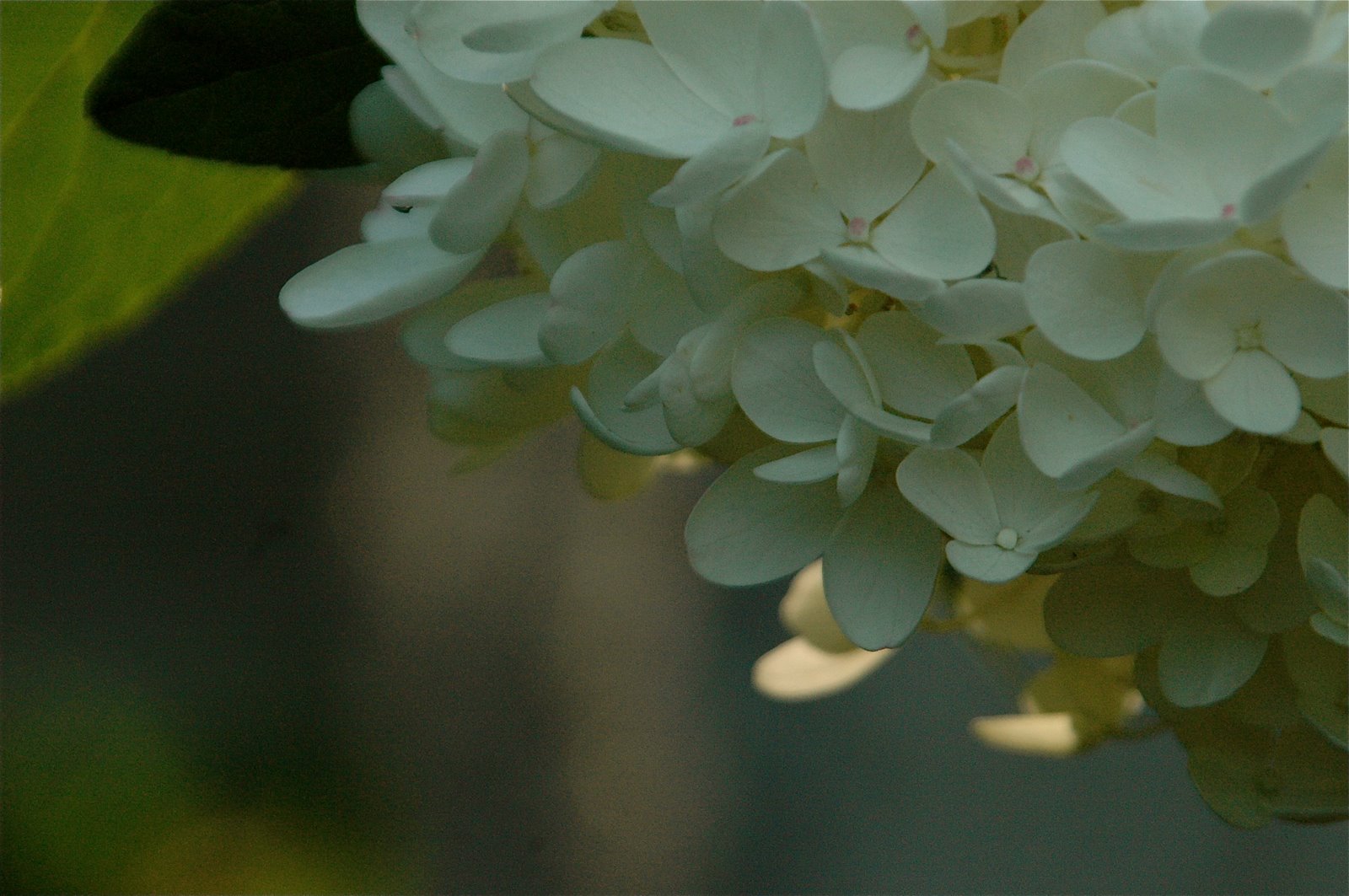 [DSC_6470.JPG]