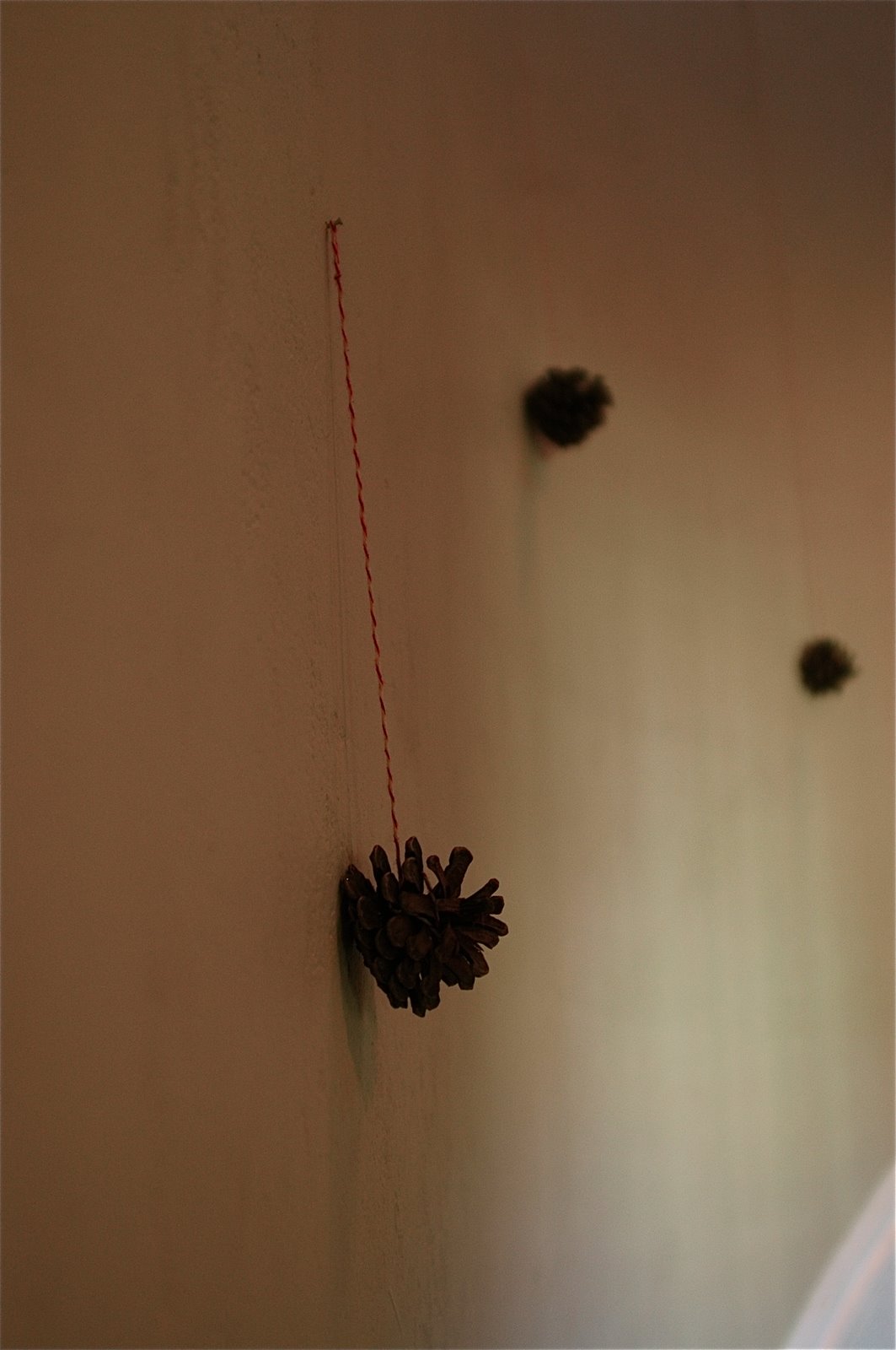 [DSC_3069.JPG]