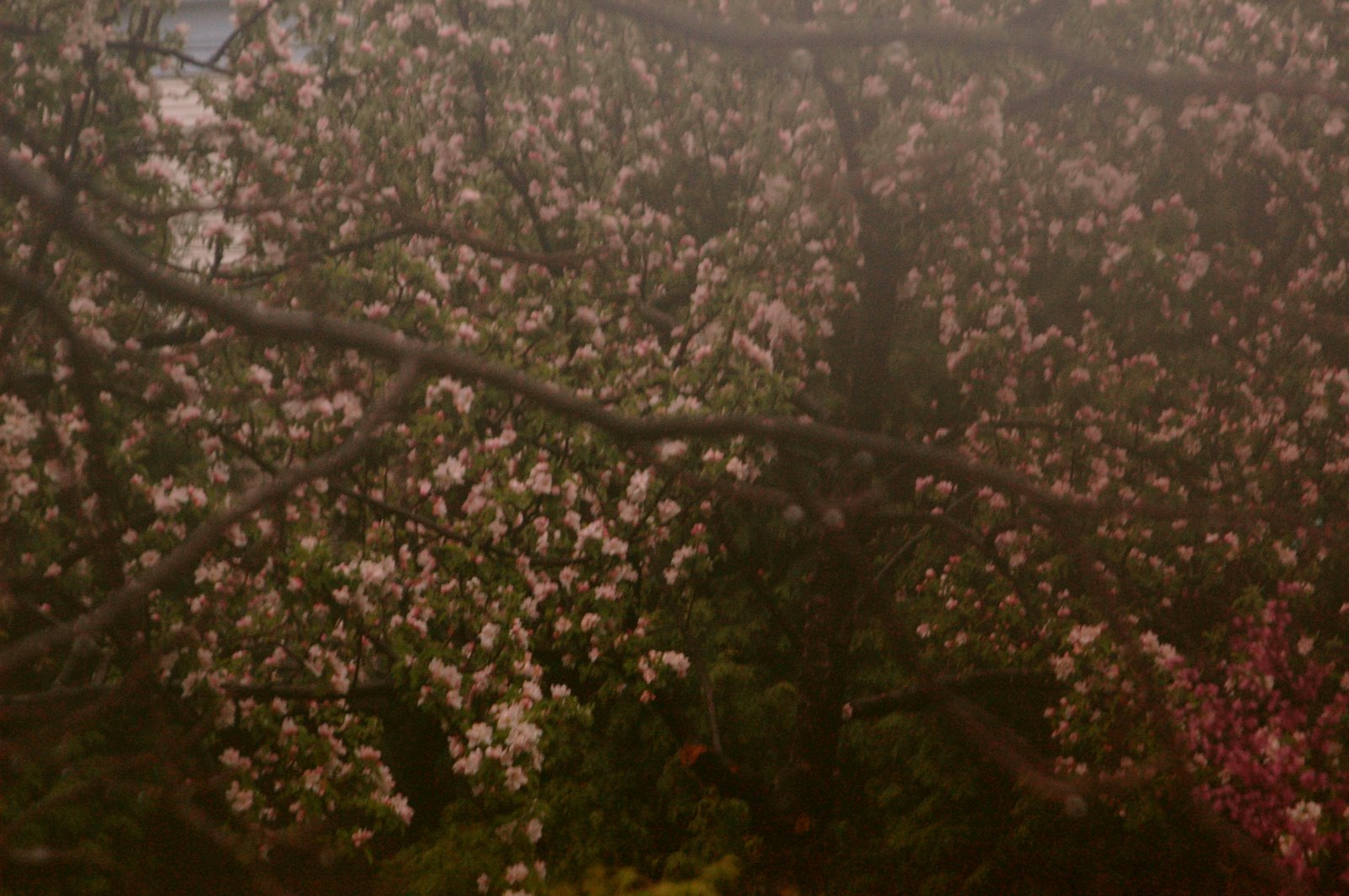 [DSC_3162_2.JPG]