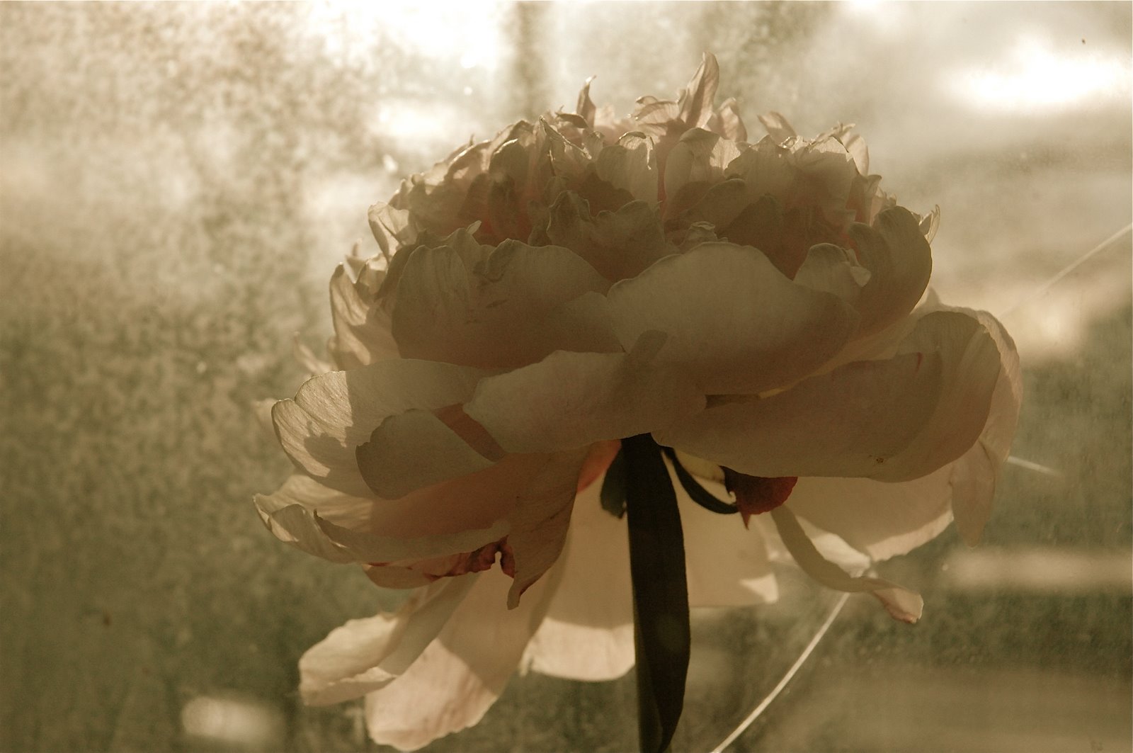 [DSC_5942.JPG]