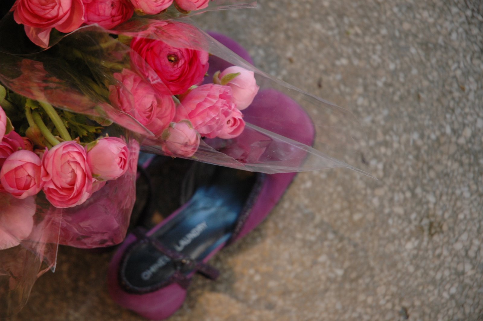 [DSC_6150.JPG]