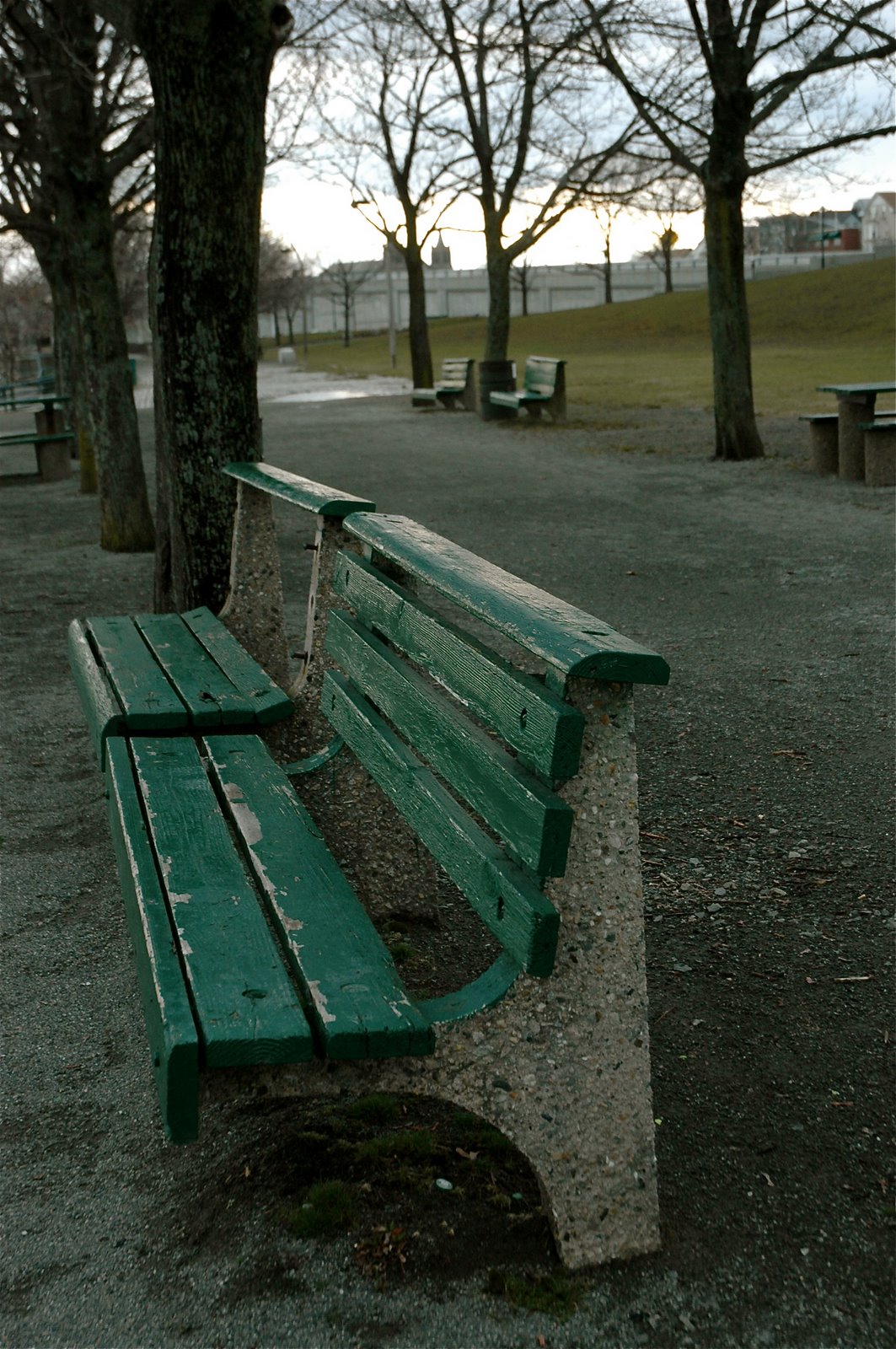 [DSC_6408.JPG]