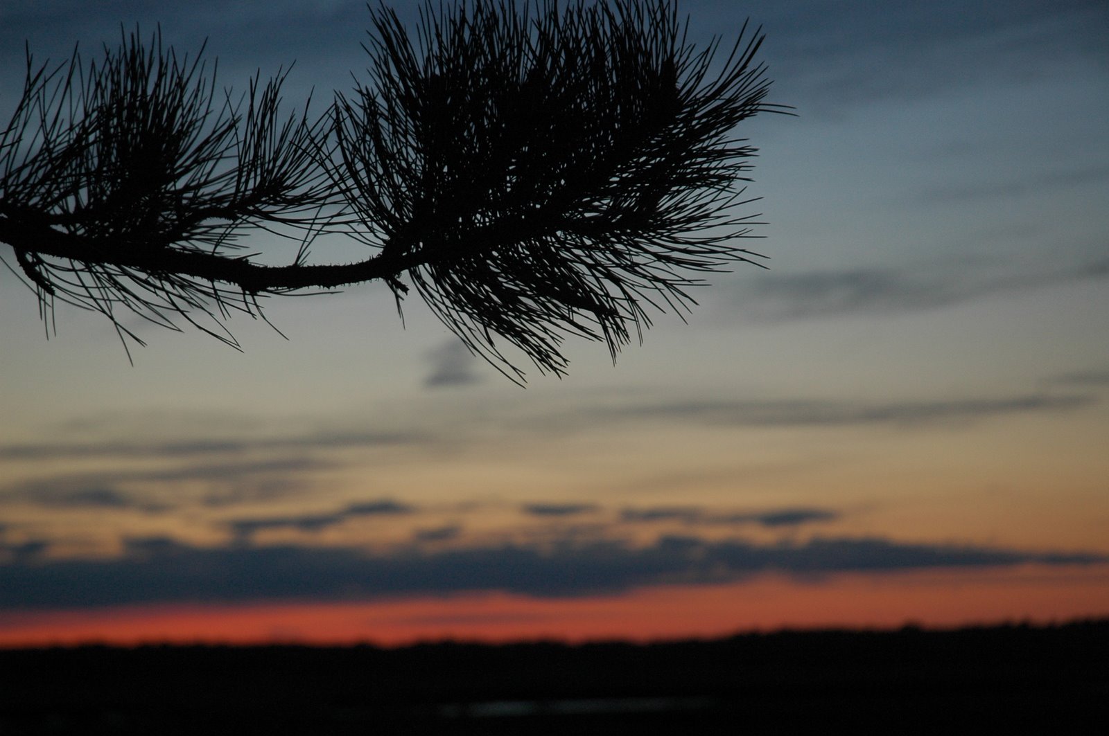 [DSC_0876.JPG]