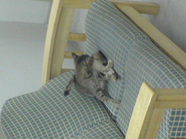 [DSC00275.JPG]