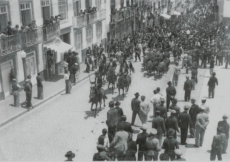 TOIROS NA RUA DA SE