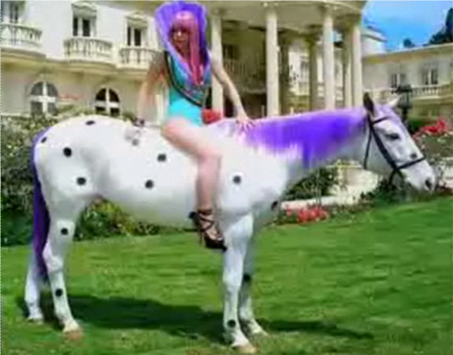 Horse and Rider Costume Ideas Easy