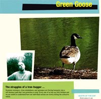 My Website - Green Goose