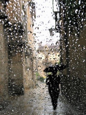 [rain.jpg]