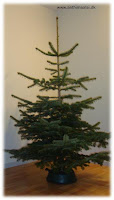christmastree3.jpg