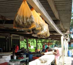 Bagan Lalang Seafood