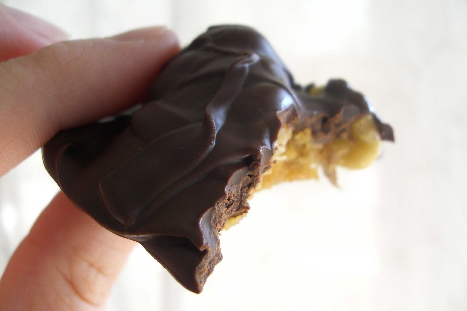 [turtle]