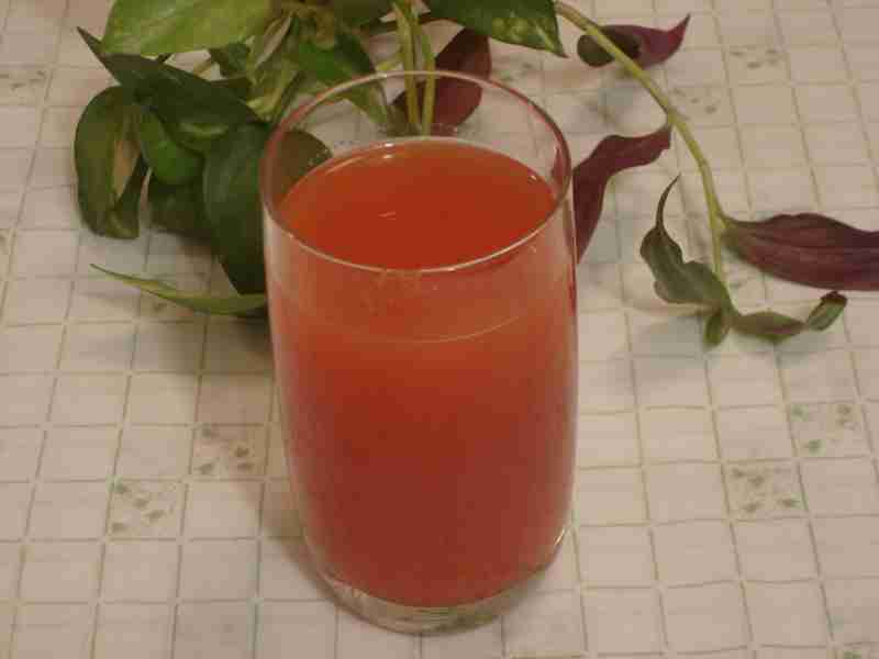 [LICUADO+CORNALINA.jpg]