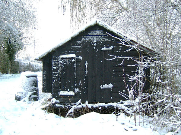 chicken shed 09