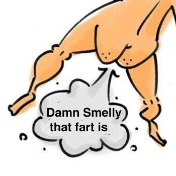 really smelly farts
