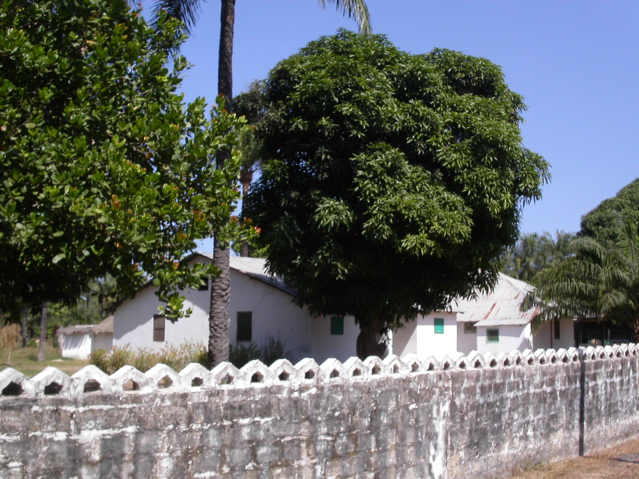 [PICT2473.JPG]