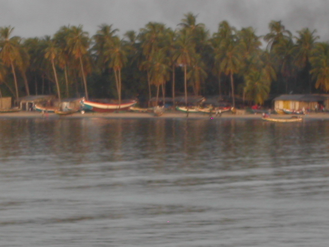 [PICT2376.JPG]