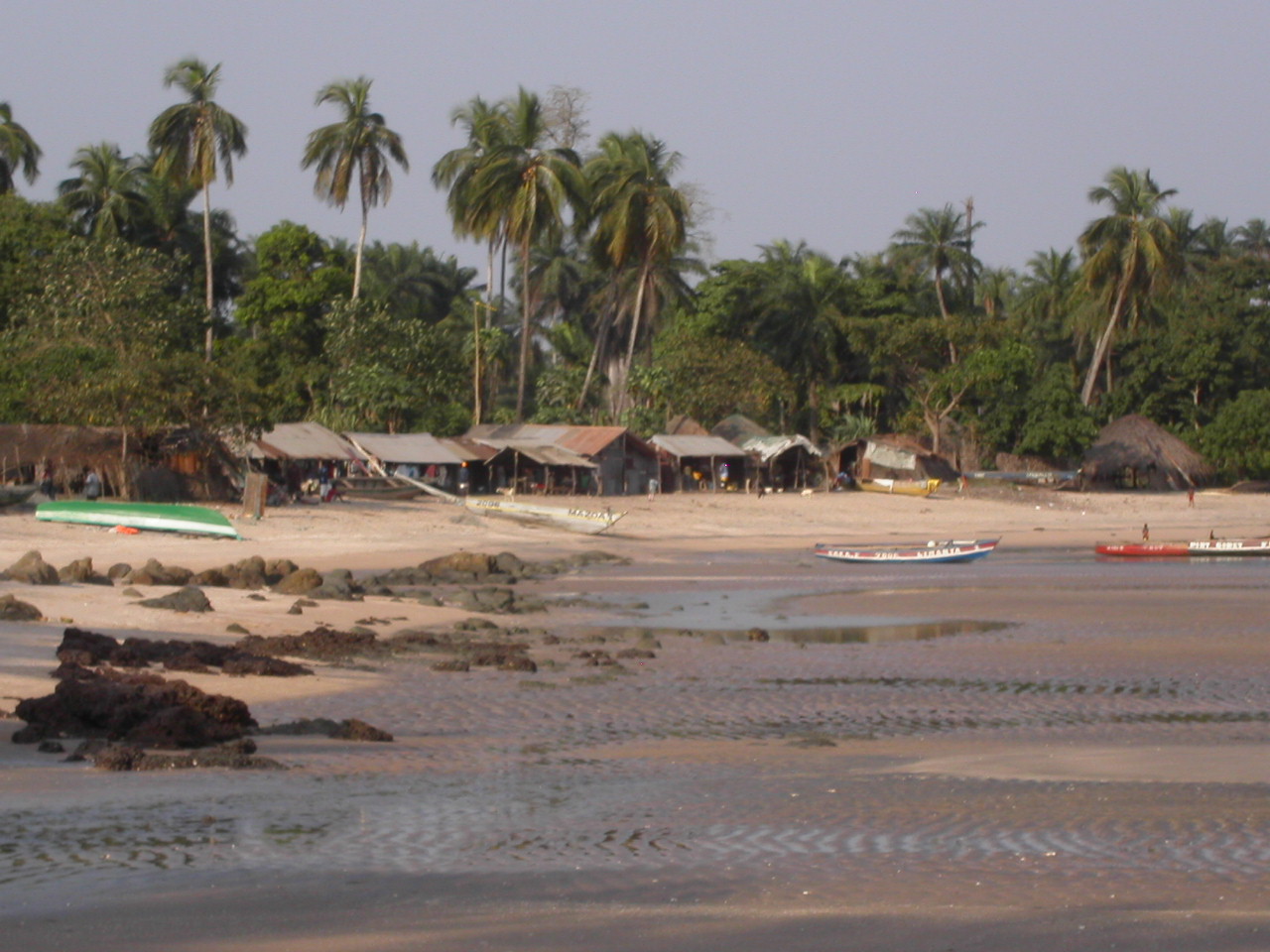 [PICT2657.JPG]