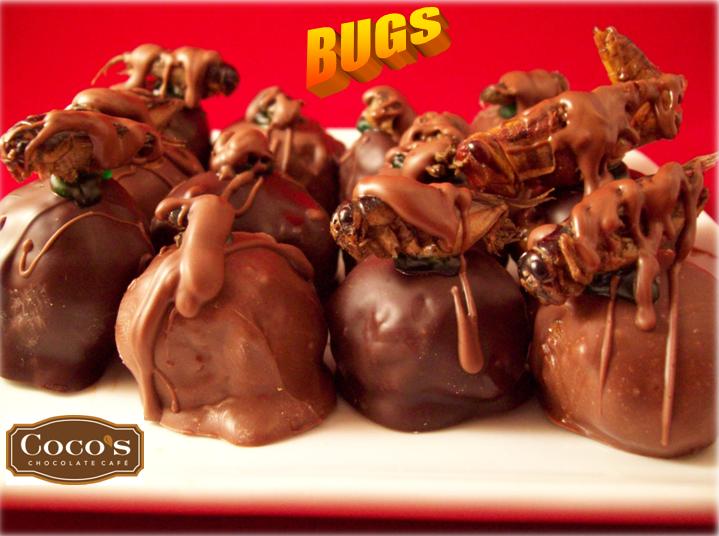 Bug_Chocolates.jpg
