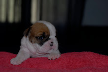 Luckie