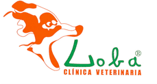 Clinica Veterinaria:Homeopatia,Acupuntura.