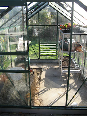 clean greenhouse