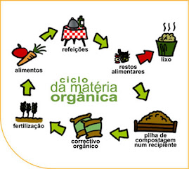 Ciclo da matéria orgânica