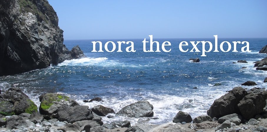nora the explora